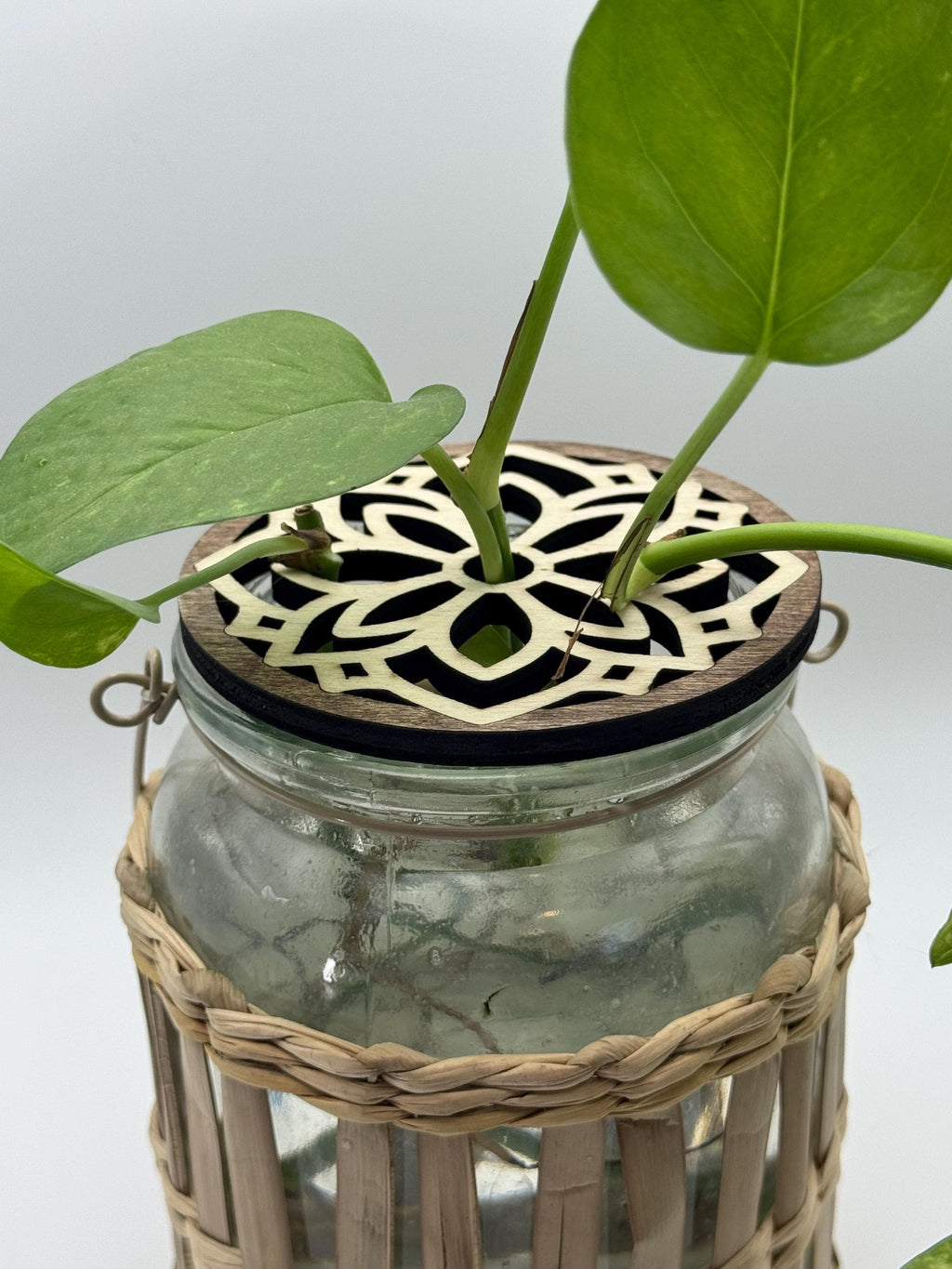 Prop Top | Wood Propagation Jar Topper | Indoor Plant Support | Coaster