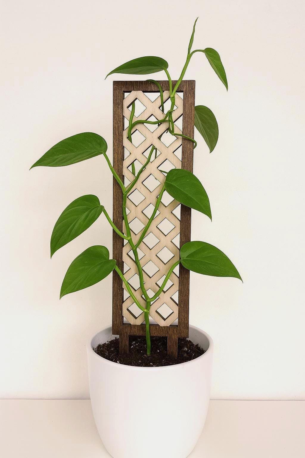 25" Geometric Wood Trellis | Laser-Cut Design | Indoor Plant Support | Potted Trellis