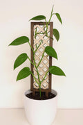 10" Geometric Wooden Trellis | Laser-Cut Design | Indoor Plant Support | Potted Trellis