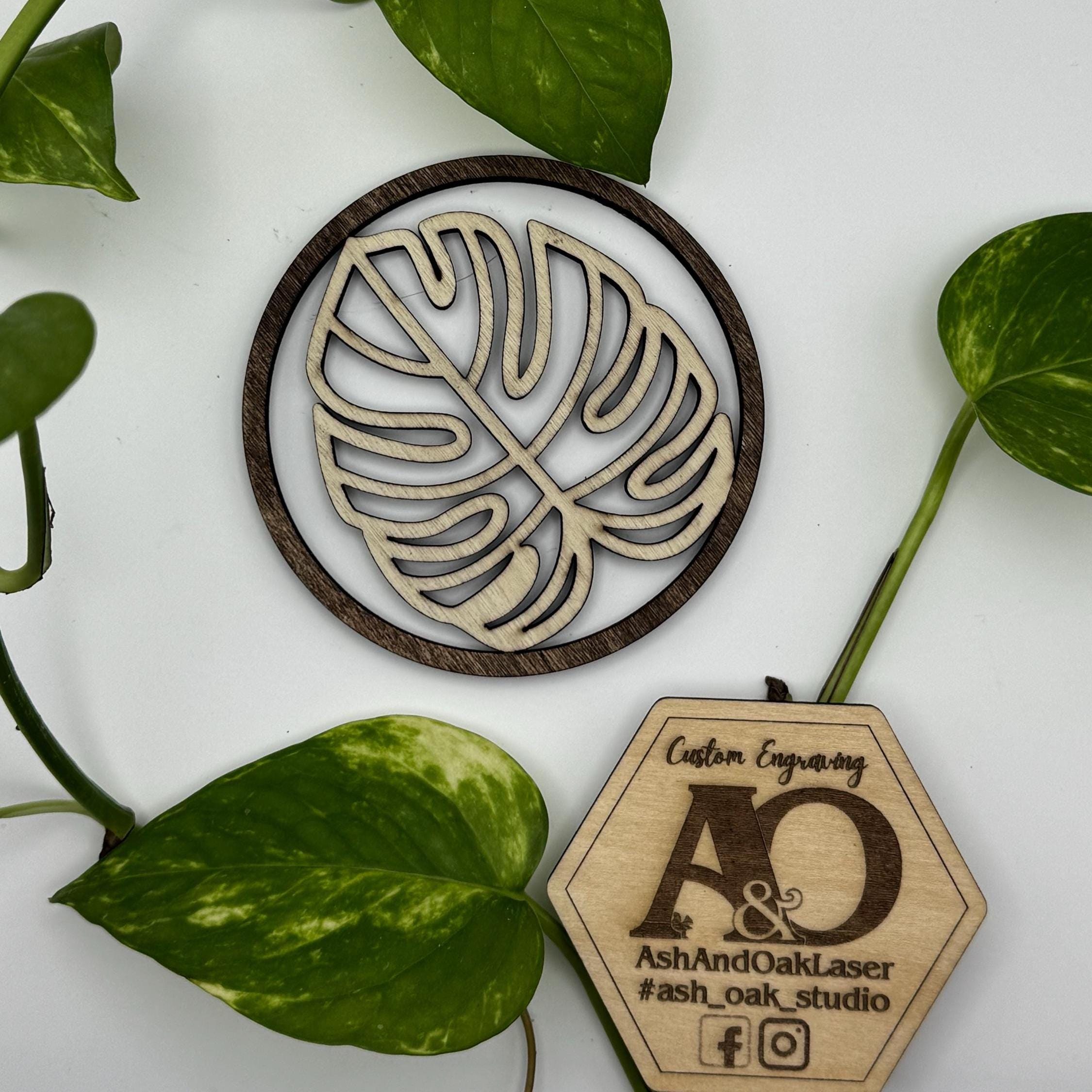Prop Top | Wood Propagation Jar Topper | Indoor Plant Support | Coaster